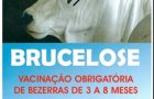 CAMPANHA DE VACINAÇÃO CONTRA FEBRE AFTOSA 2019